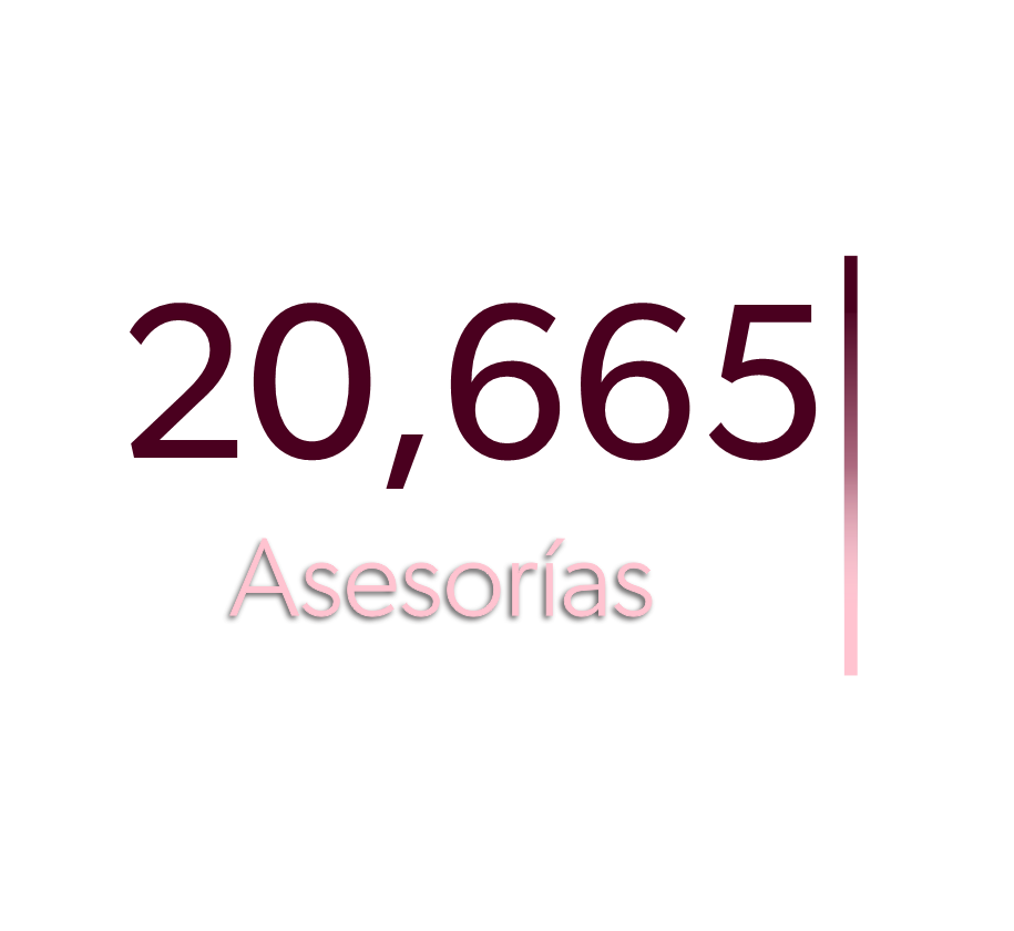 Asesoria.png